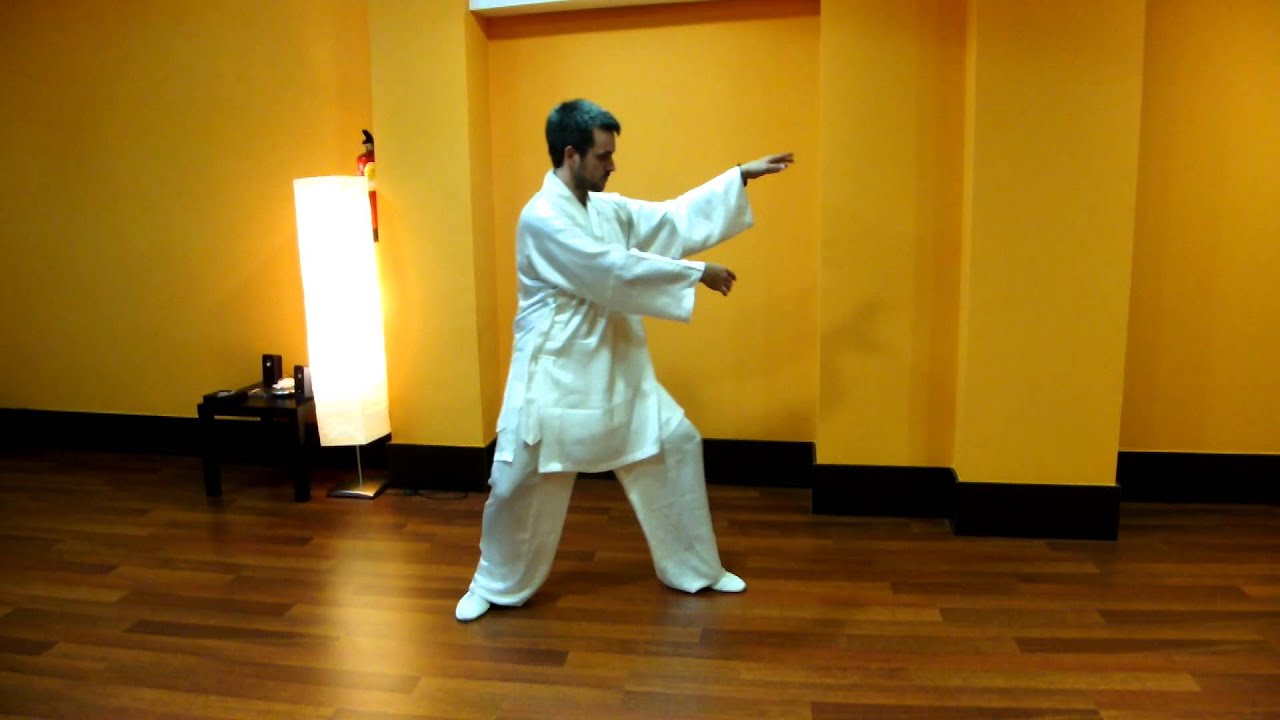 TAI CHI XIN YI 24 Movimientos por FÉLIX MOLINA
