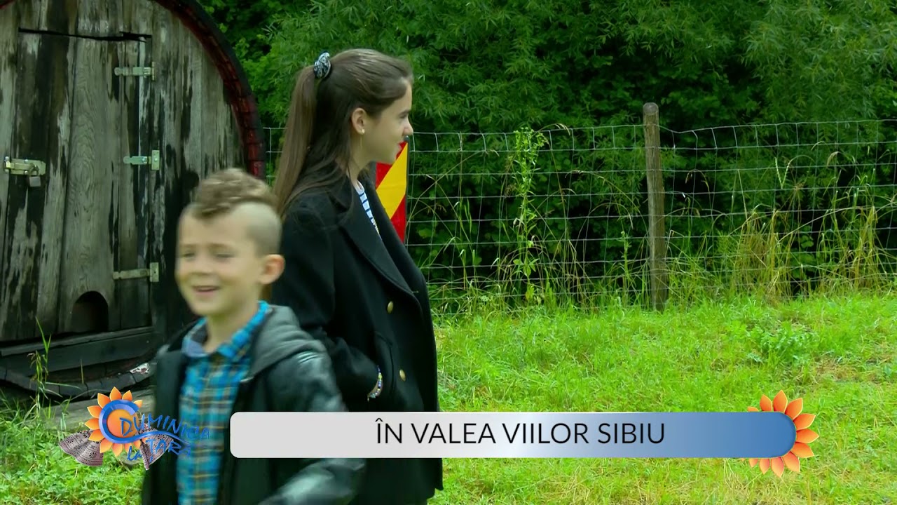 Duminica la țară în comuna Valea Viilor, jud. Sibiu | 11.07.2021, P5