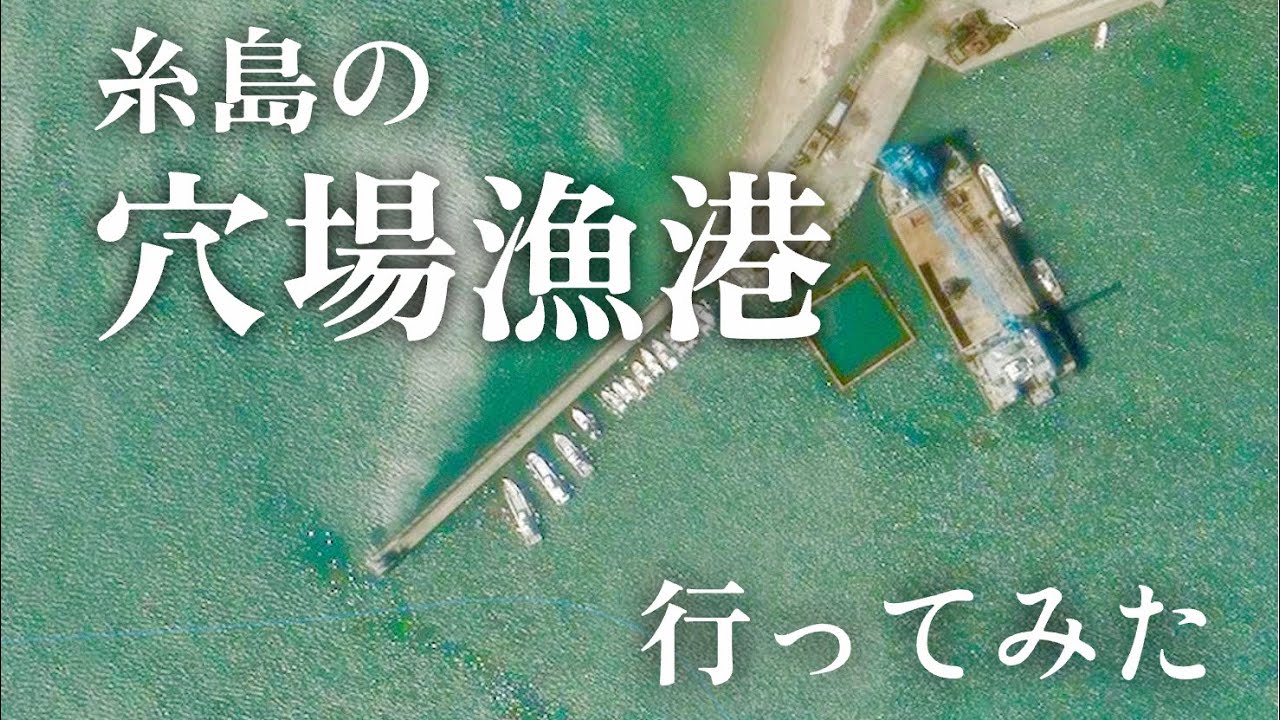 【岐志漁港・福岡県糸島市・海中映像】穴場過ぎて勿体ない糸島の隠れ優秀な漁港の冬に潜入してきたぞ!!#245 福岡釣部 in 福岡・糸島・北九州・長崎・平戸・佐賀・唐津・呼子・生月島・鷹島・広島・岡山
