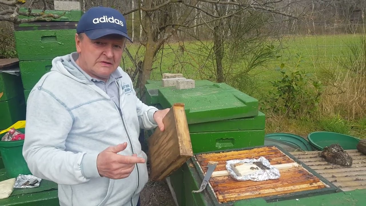 Reizfutter bei Bienen. Imker Frühling und Wetter.....Frühjahr 2023