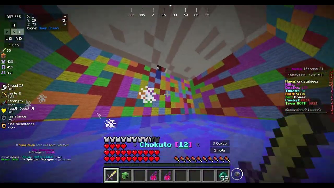 Hacker on minecadia