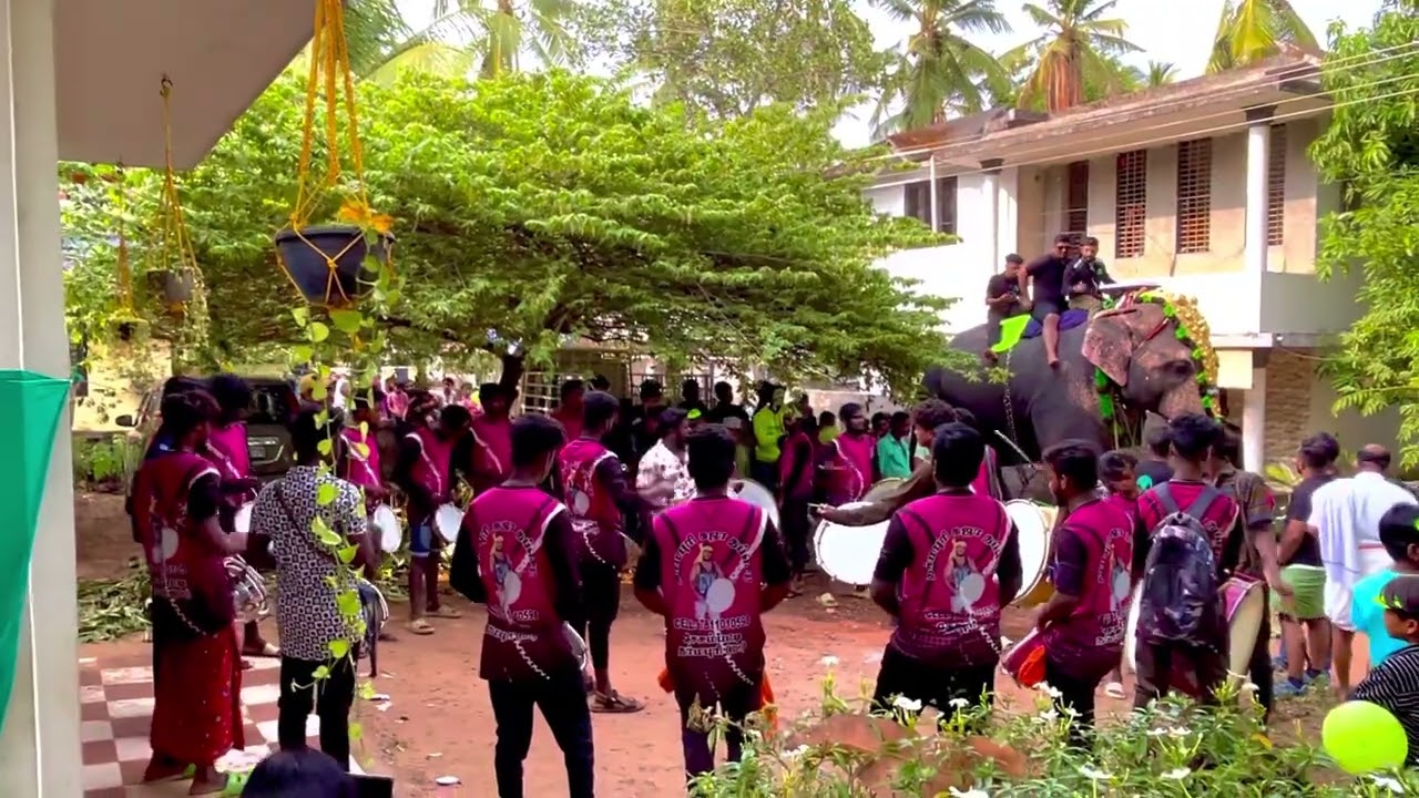 #gajathapset #gajadrums Kerala Thrissur Chettuva Parvadi Event Gaja Boys Cell.7811010598