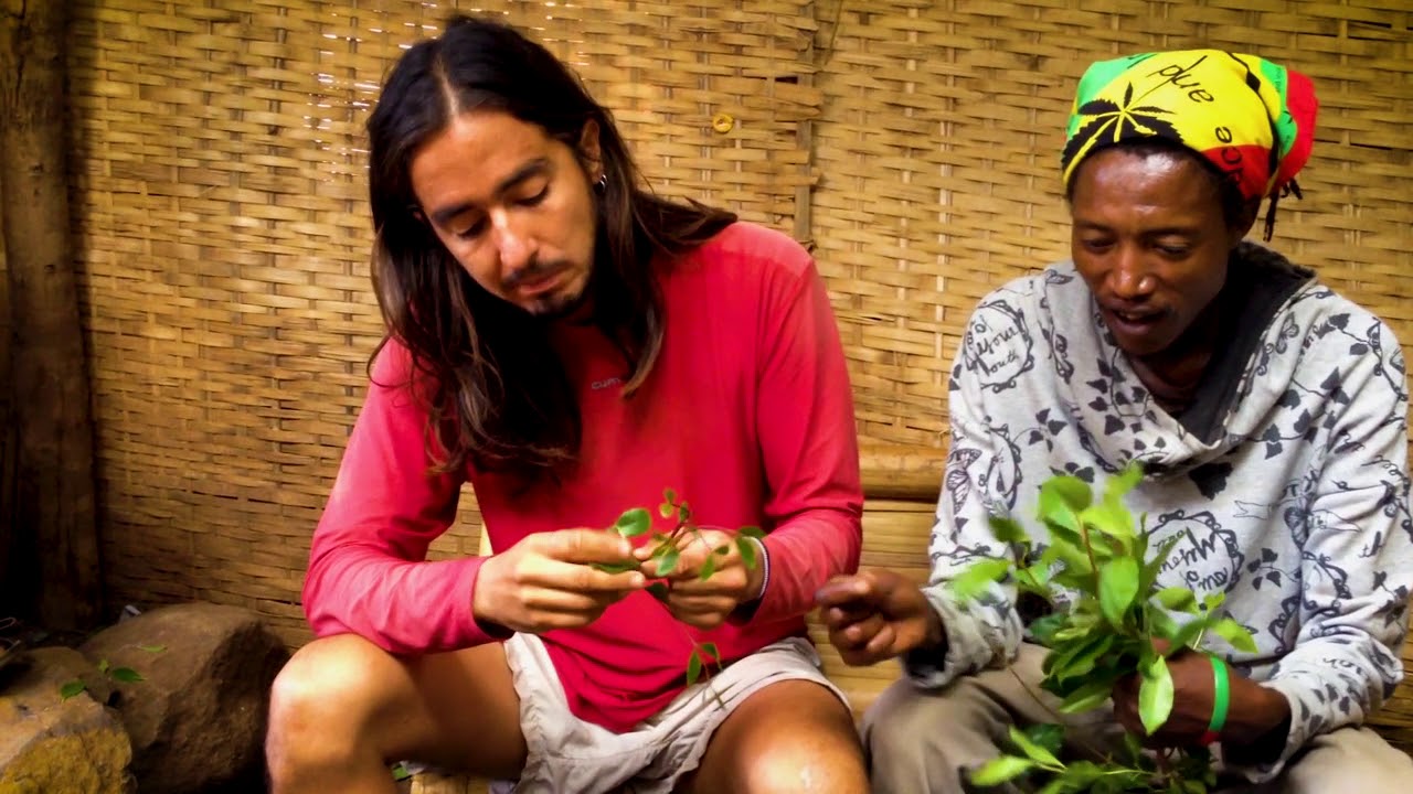 Etiopia, parte 1 - O café mais fresco do mundo e outras iguarias