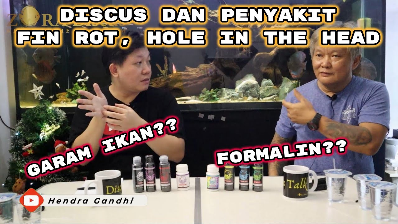 DISCUS DAN PENYAKITNYA (Ep. 4) - Fin Rot, HITH, Garam Ikan, Formalin, Bersama Steve Salus Creafish