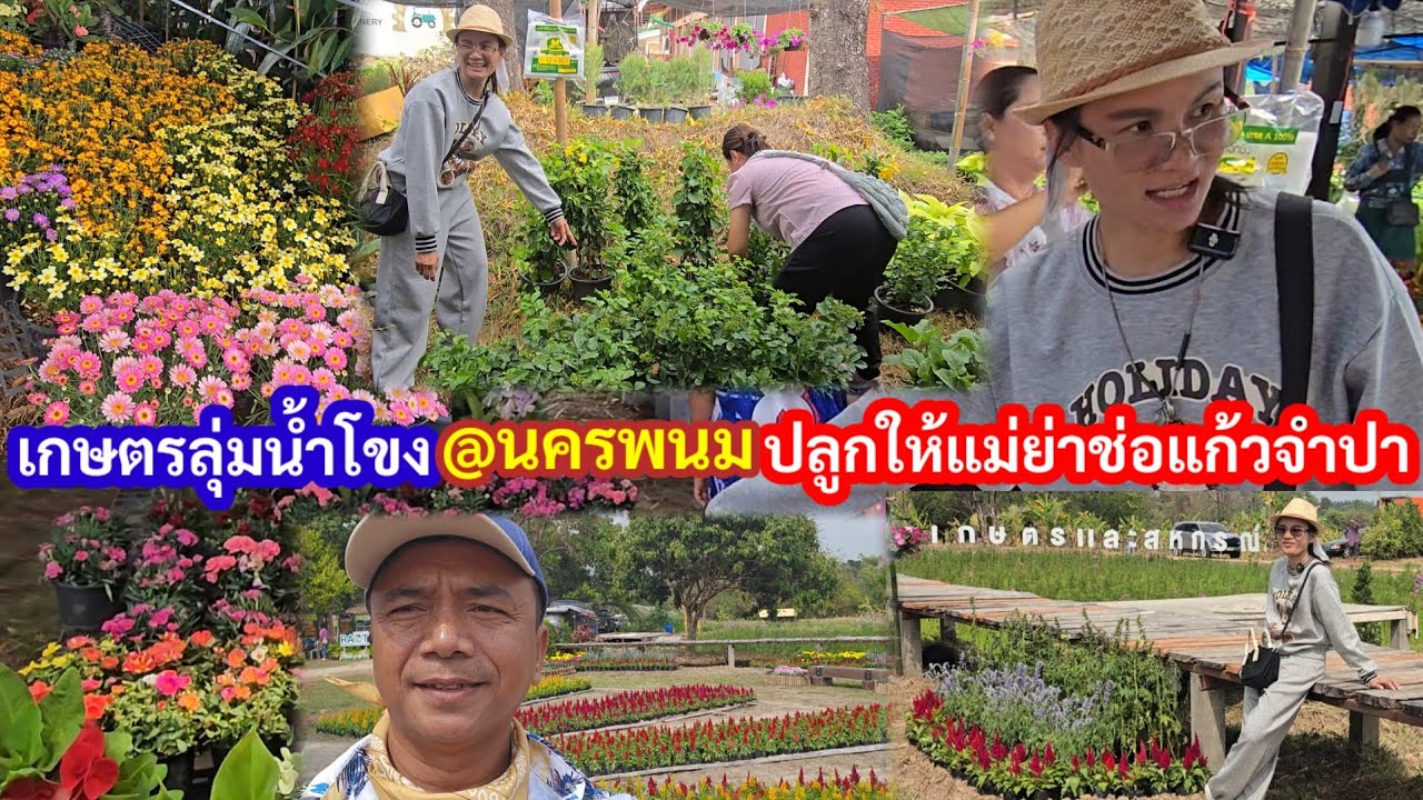 ป้าแต๋นพาเลาะงานเกษตรแฟร์ เจอต้นไม้นี้ สุดดีใจนำไปปลูกรอบแม่ย่าช่อแก้วจำปา