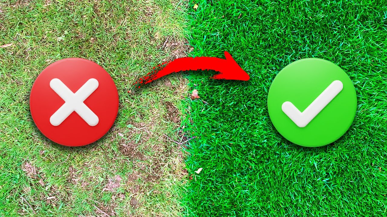 Der perfeke Rasen: Rasen im Frühjahr richtig düngen - Tipps vom Gärtnermeister 🌱 👍🏼