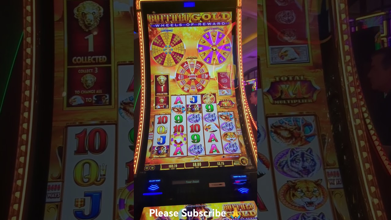 Buffalo Gold Wheels of Reward 🦬 #vegas #slot #casino #gambling #buffaloslots