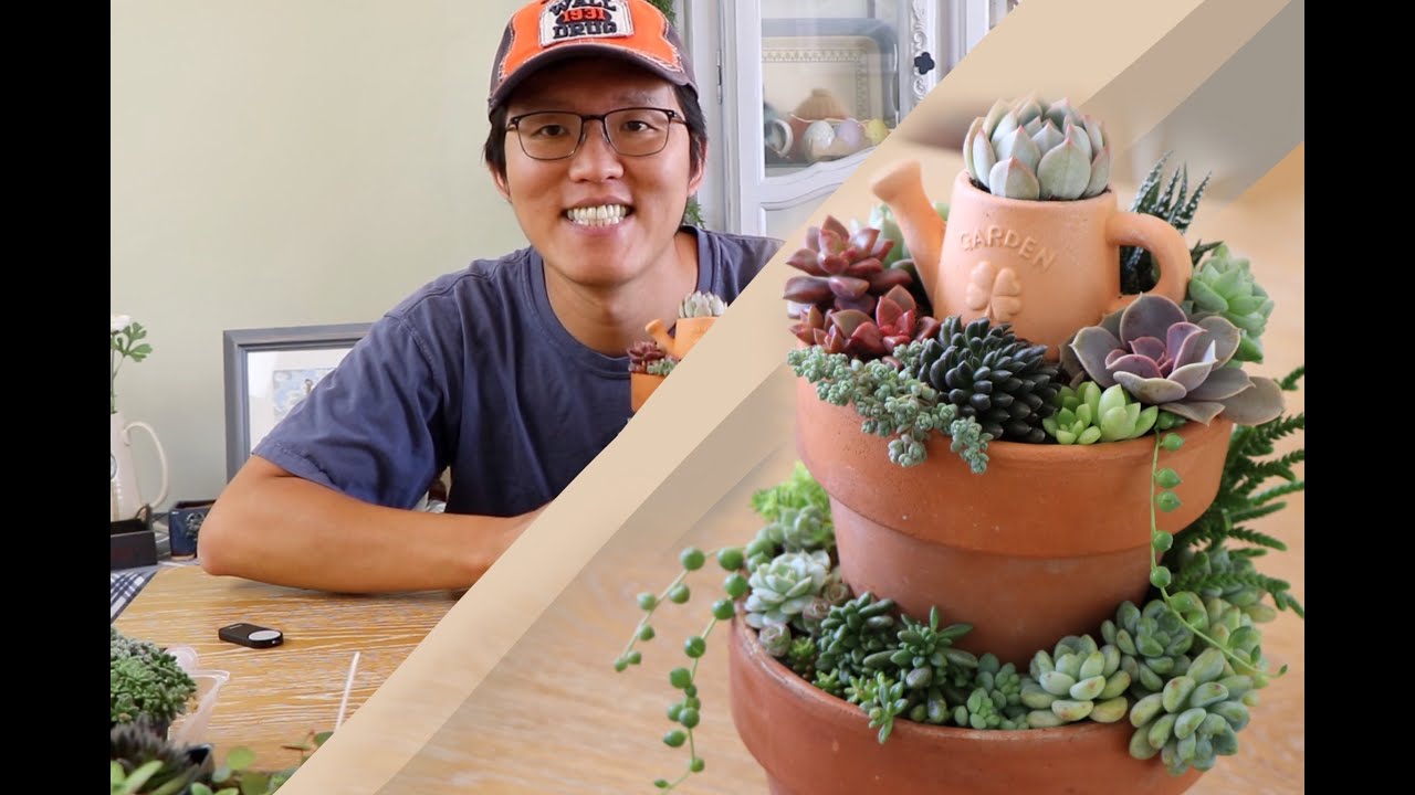 多肉塔，又覺得是一個漂亮的作品！