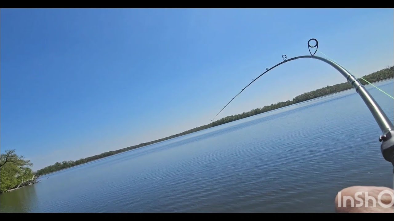 KASTKING SPARTACUS II IM6 GRAPHITE  MEDIUM FAST 7ft ROD.