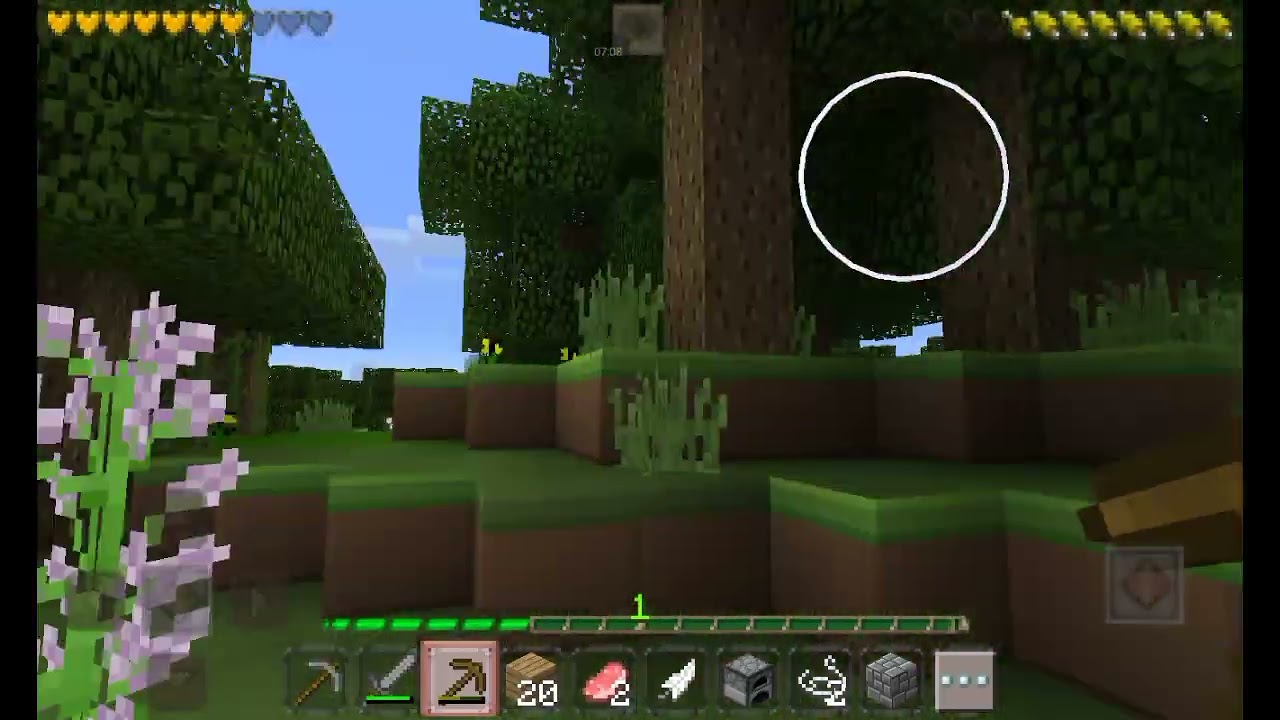 Minecraft (p1) :p