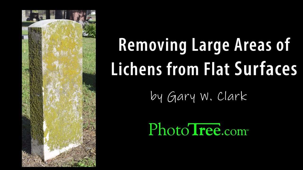 Gravestone Lichen Removal