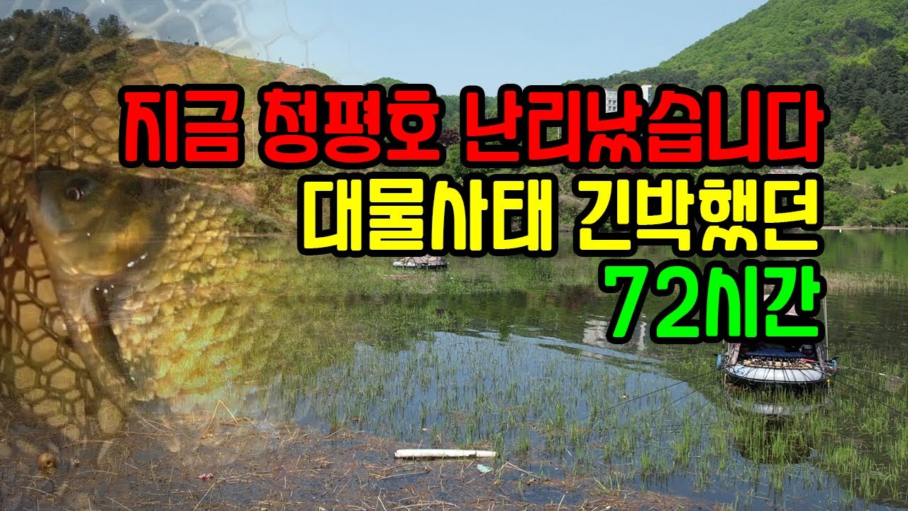 가온[붕어보트낚시]Ver116. 52cm 메세지 받고 바로 쏩니다! 걸면 무조건 4자후반!