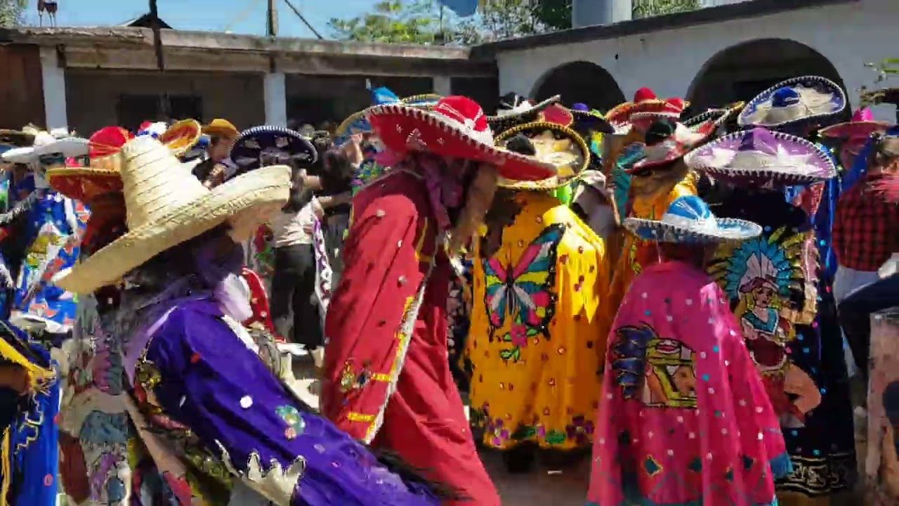 Carnaval camarones 2026