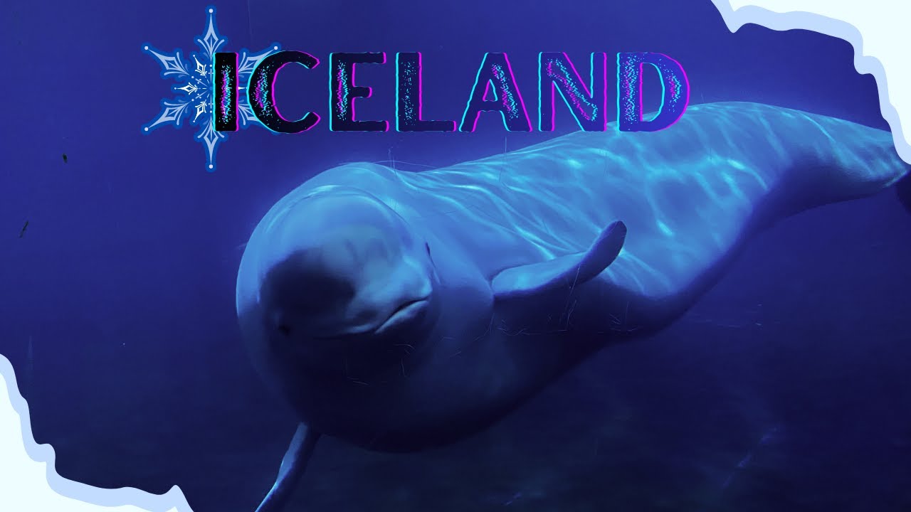 All the reasons why you should NEVER visit ICELAND!