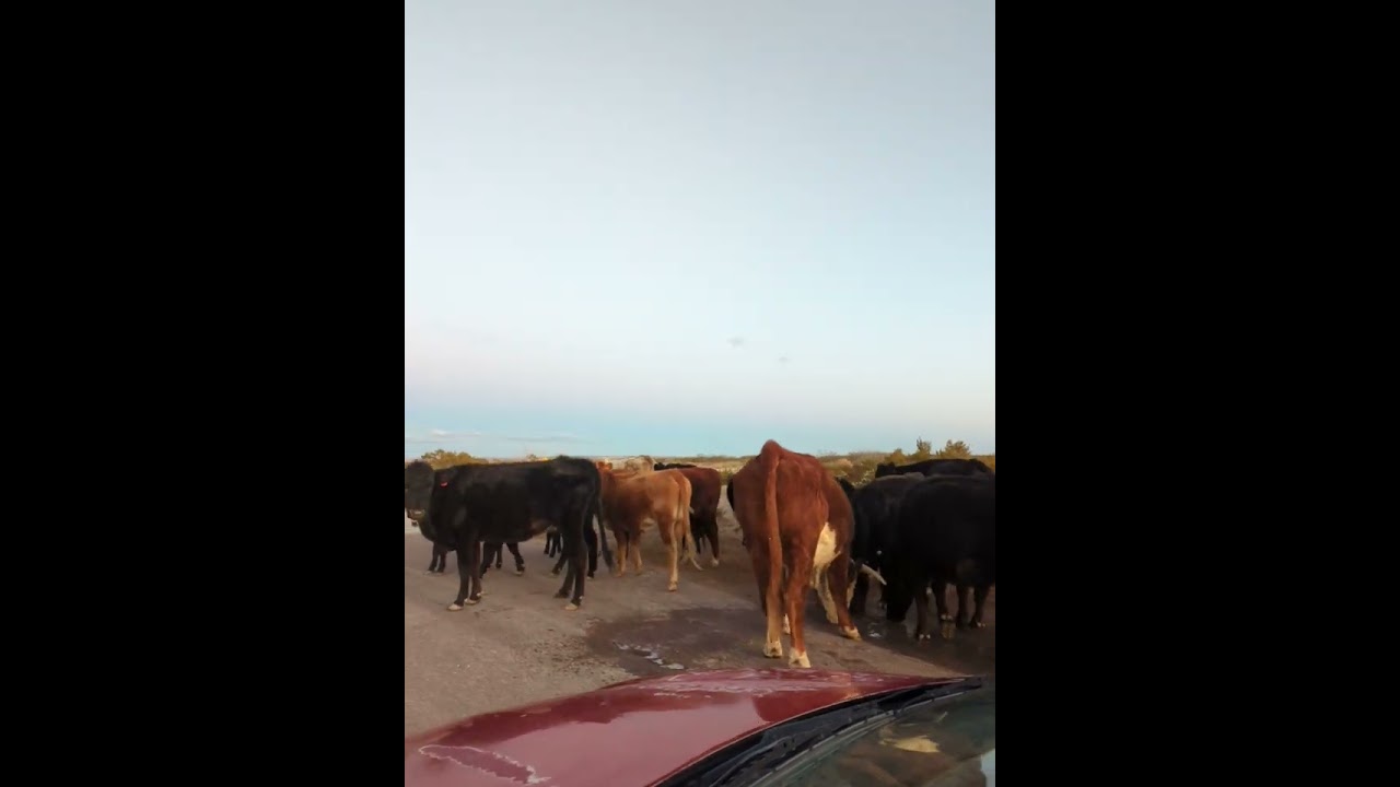 in sunset ranches off-grid in hudspeth Texas