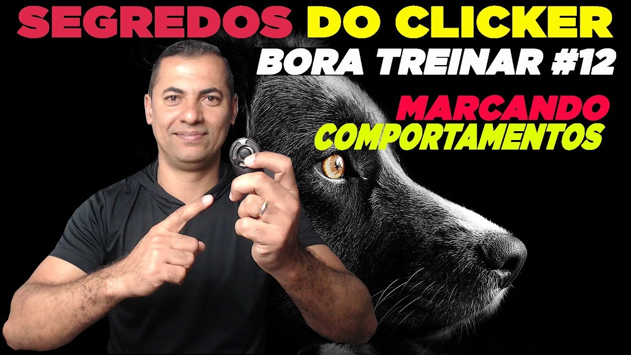 CLICKER - AULA COMPLETA - BORA TREINAR#12
