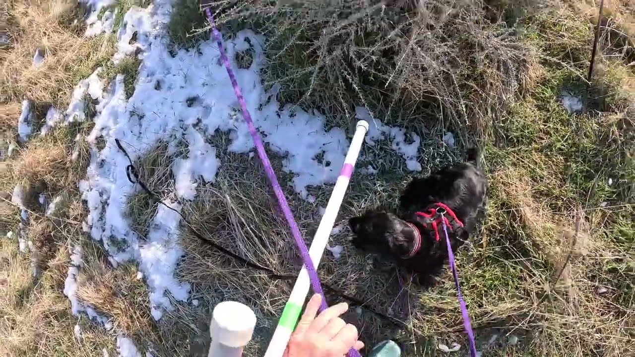 Jilly Jan 16 343 yards