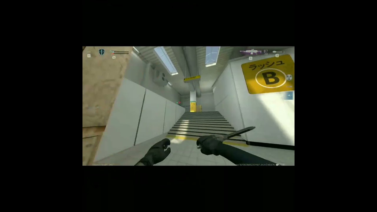 Combat Master NEW GUN (Sig MG388) #combatmasterpc