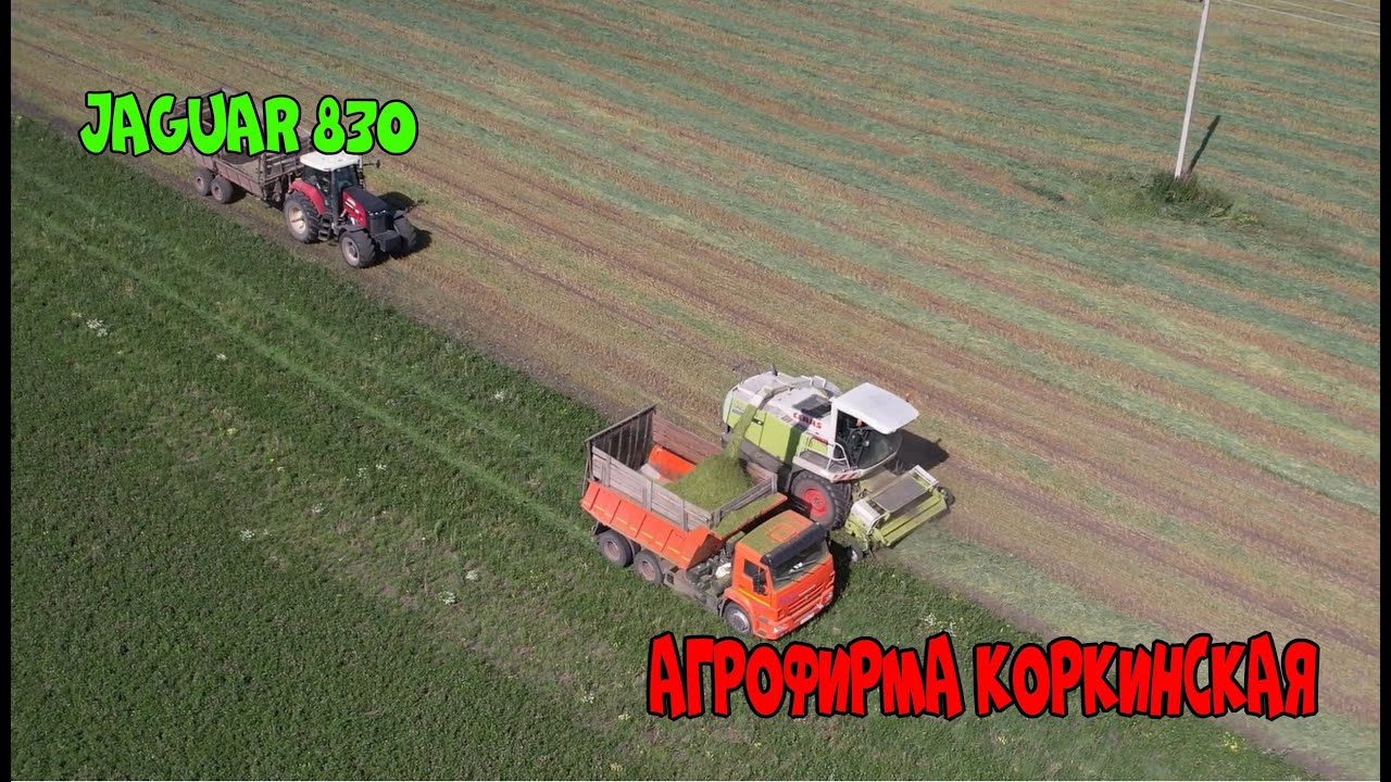 Комбайн Claas Jaguar 830 уборочная в засуху однолетка