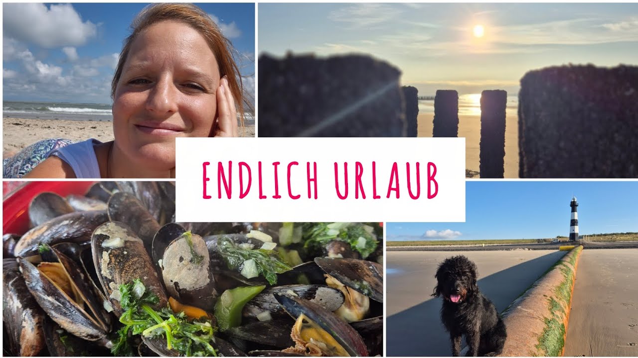 Unser Urlaub im Europarcs Breskens | Urlaub mit Hund | Südholland 