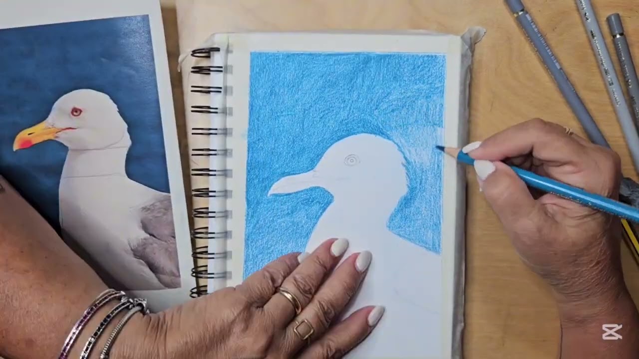 COME DISEGNARE UN GABBIANO - TUTORIAL FACILE PER PRINCIPIANTI