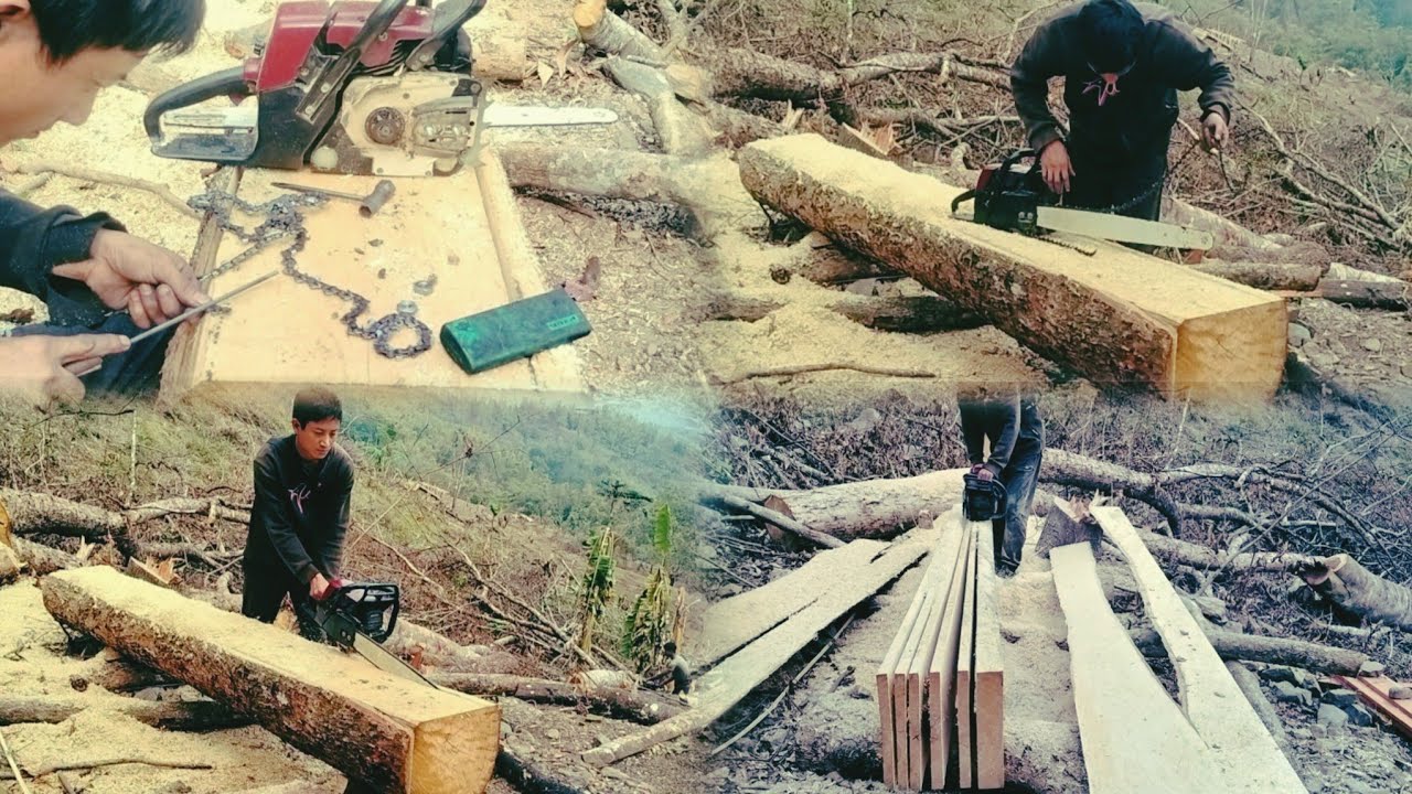 Wood Cutting Skills/#nge_naga super Steel Chainsaws Machine .