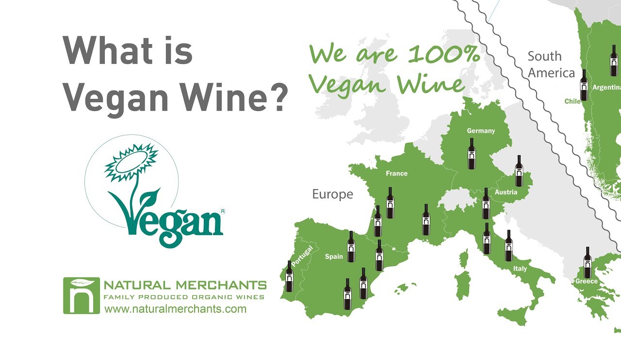 What is Vegan Wine? - Natural Merchants Organic Wine