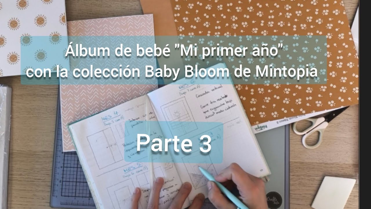 PARTE 3 - Álbum bebé 
