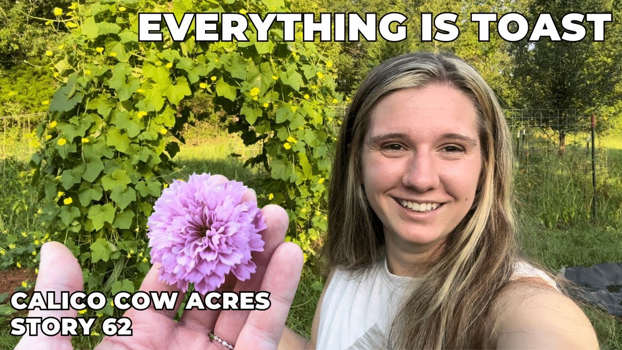 A Hot Mess August Garden Tour | Beginner Homesteaders