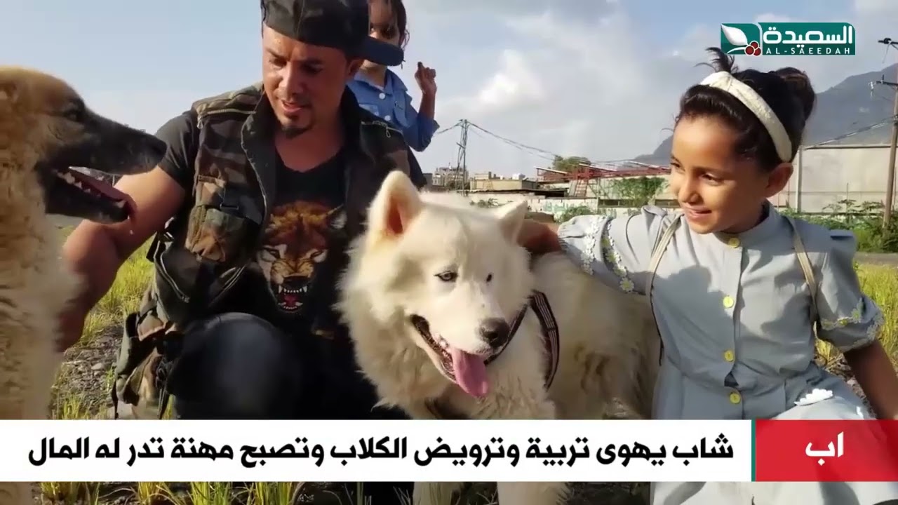 شاب في إب يهوى تربية وترويض الكلاب وتصبح مهنة تدر له المال