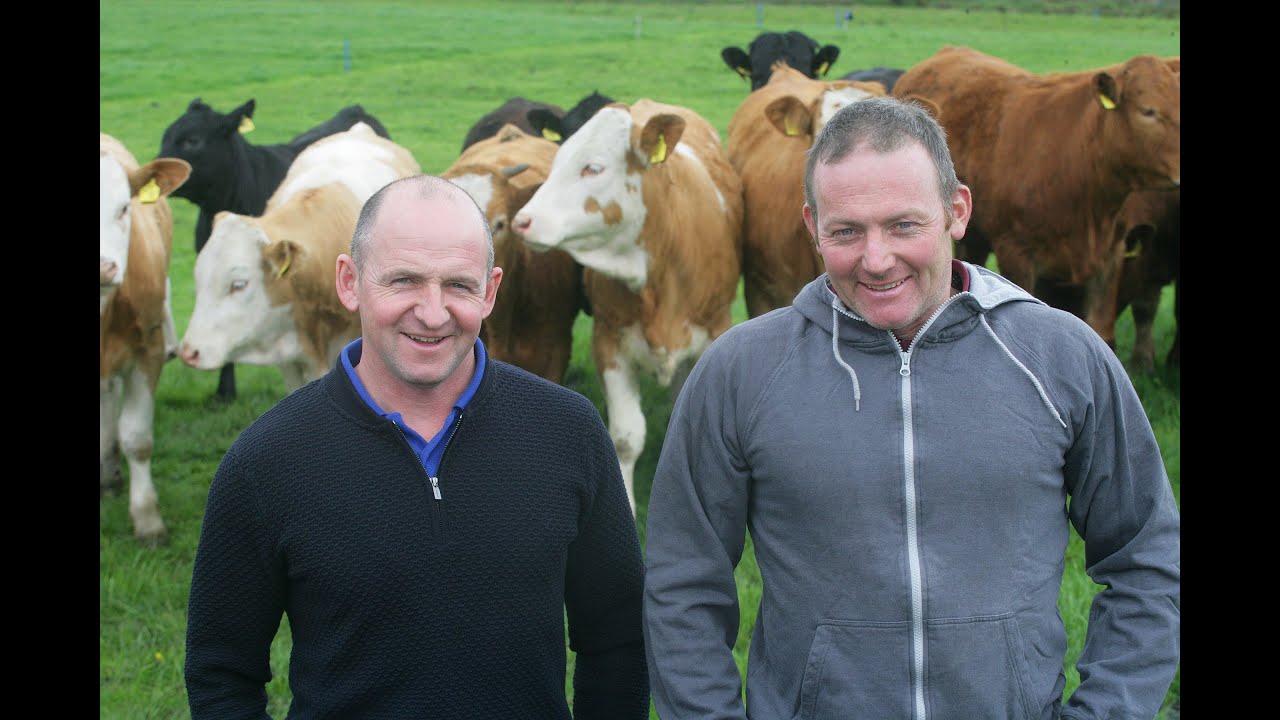 Better Farms Beef Challenge NI - Making Quality Silage