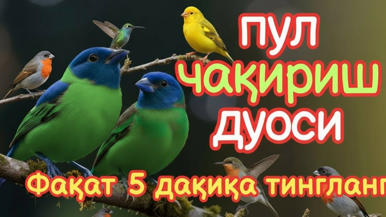 🔴 Тинглаганингиздан 5 дақиқа ўтгач, сиз пул оласиз-ДУА МУСТАЖАБ, ҳақиқий мўжизаларга ега бўлинг