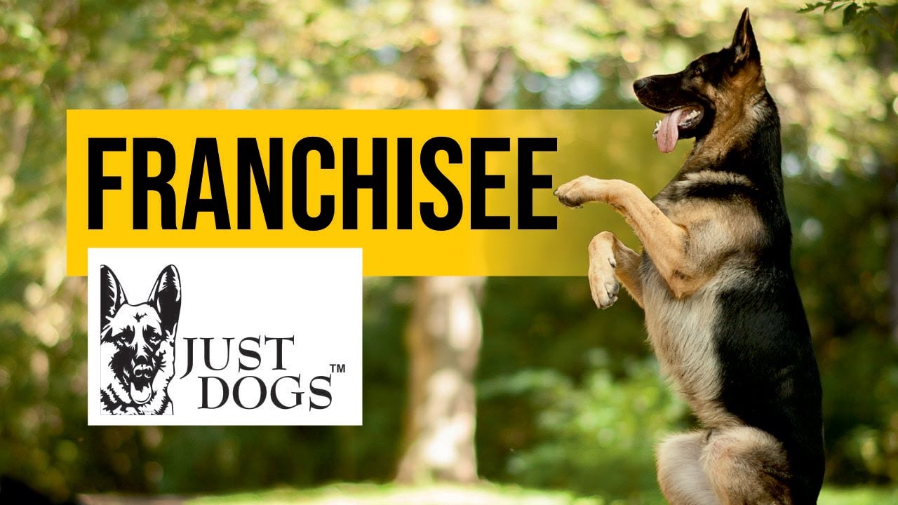 TVC | Ad Film | Just Dogs