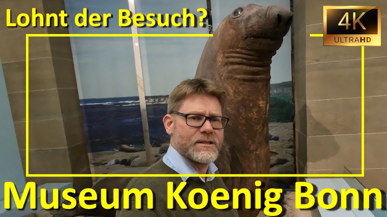 Top-Naturkundemuseum: Museum Koenig Bonn -  Der Museumscheck: Lohnt der Besuch?