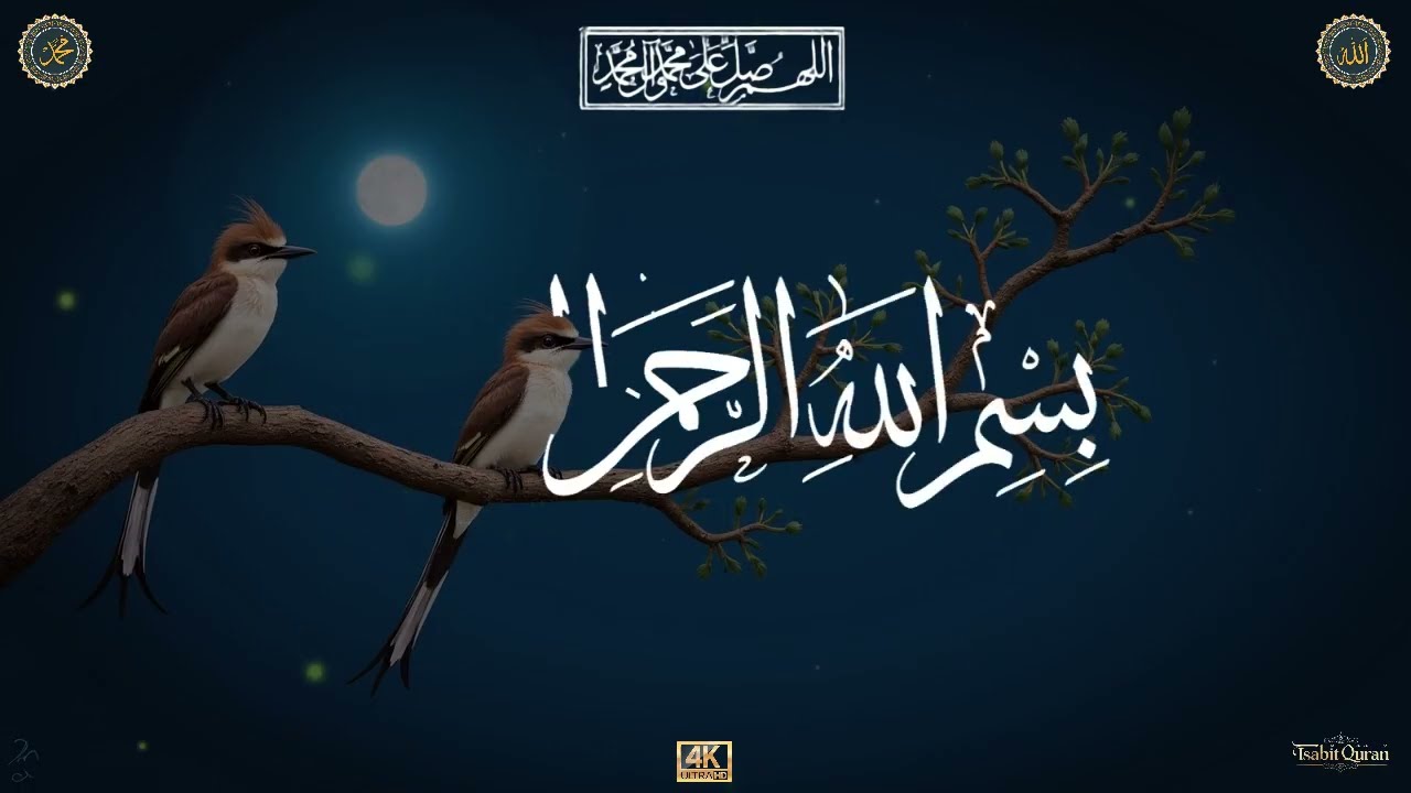Quran recitation in a peaceful voice I ayat al kursi, yasin, alkahfi, alwaqiah, arrahman, Alaa Aqel