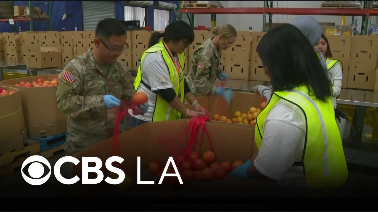 Gov. Newsom deploys National Guard to help food banks during government shutdown