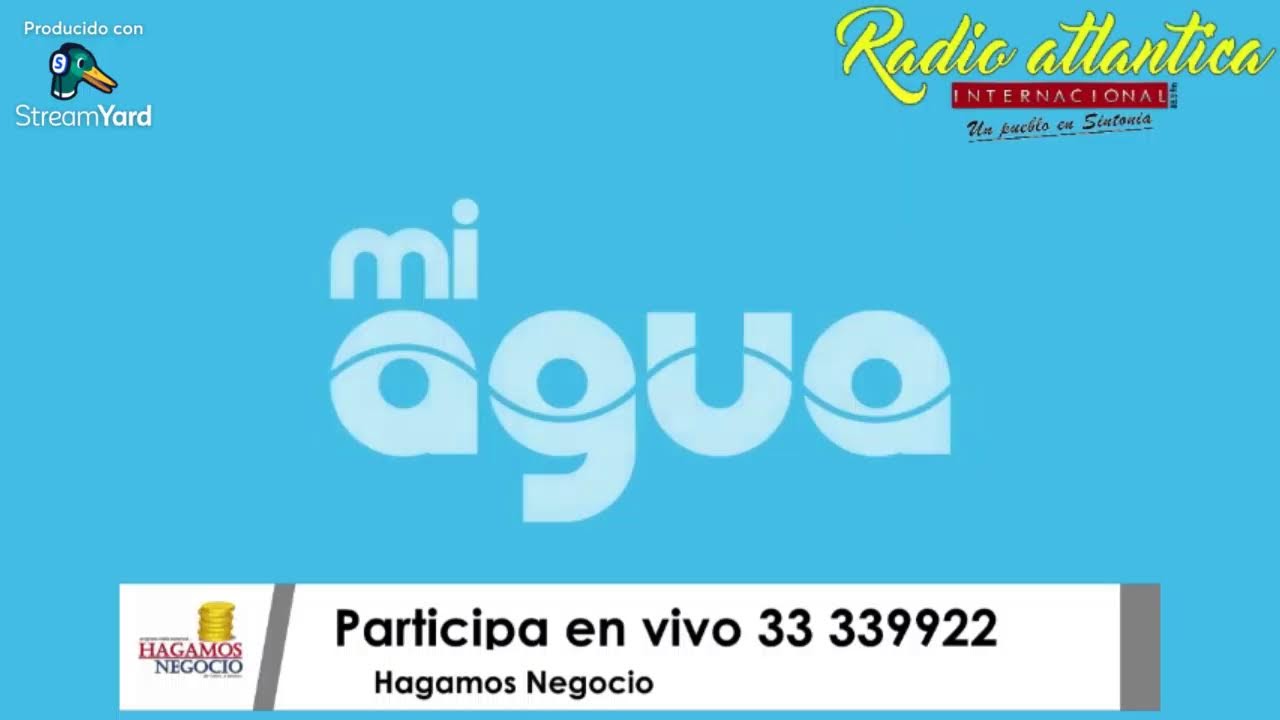 Hagamos Negocio con Virginia Guardia M.  Programa netamente Comercial