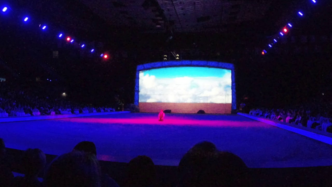 Cavalluna 2019 - Welt der Fantasie Teil 2 / 2 - Wiener Stadthalle