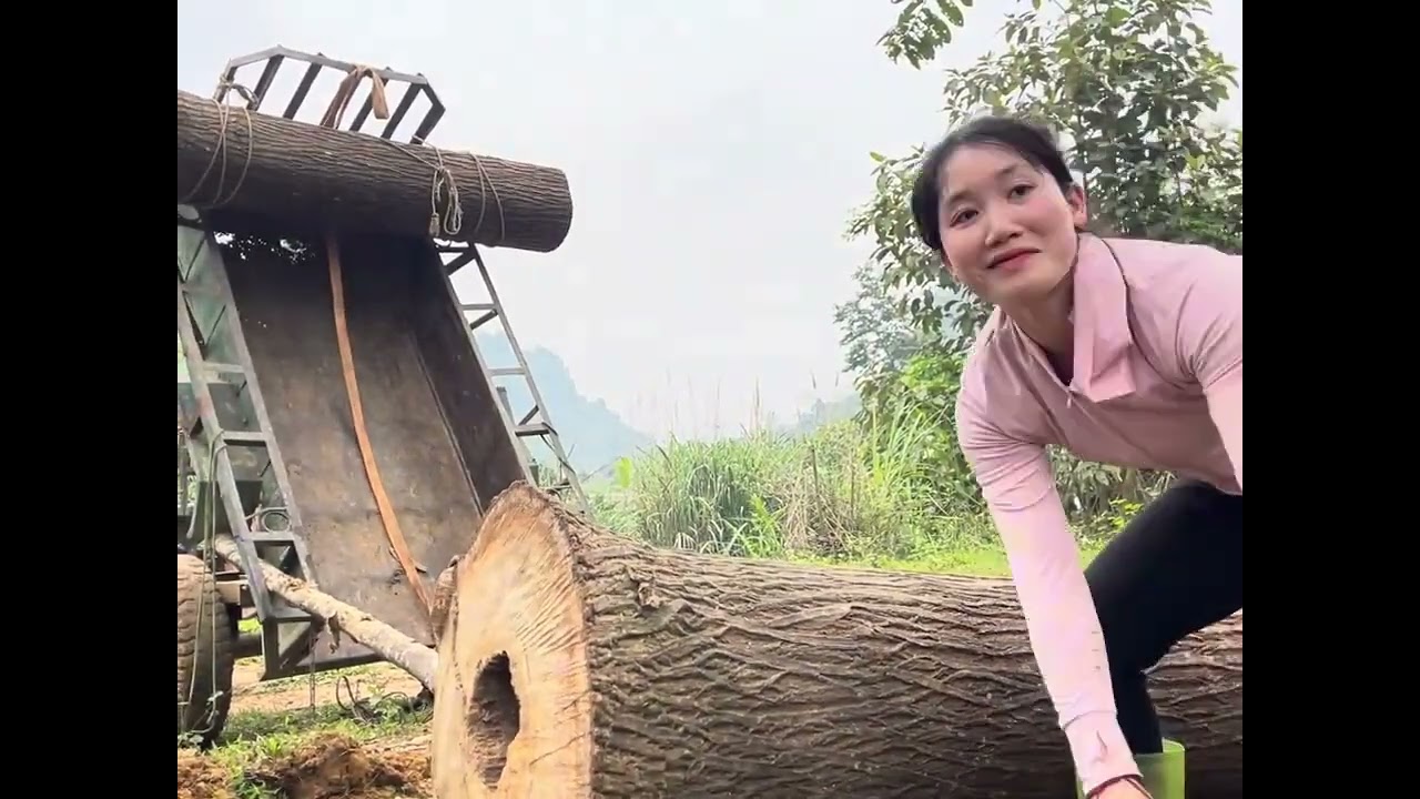 Transporting Heavy Wood Alone on a Quiet Country Road - A Peaceful Day in Rural Life #viralvideo 