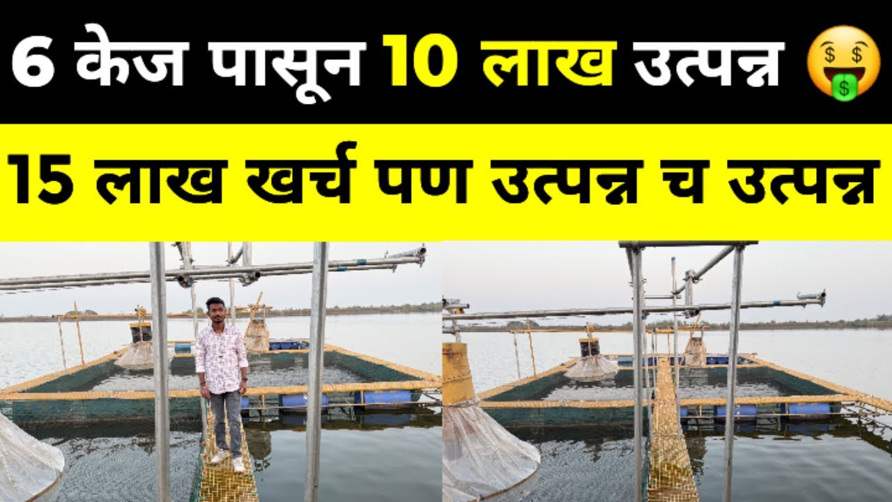 6 केज पासून 10 लाख उत्पन्न🧐| Cage Culture Fish Farming Idea🤑| मासे पालन करण्याचा स्मार्ट प्लान 