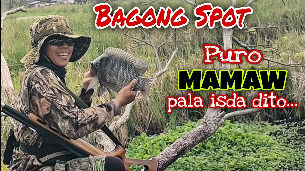 PART 1 GRABE ANG LALAKI NG ISDA SA BAGONG SPOT PURO MAMAW/AIRGUN FISHING/MHEDDS JOE TV/VLOG#528