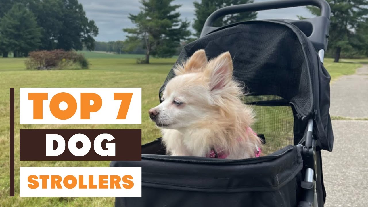 Top 7 Dog Strollers Every Pet Owner Must See!