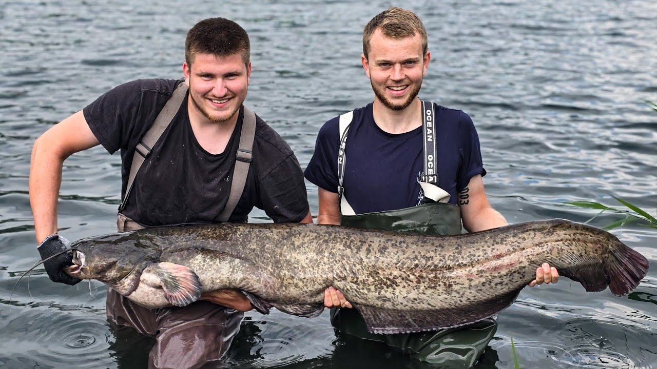 Malle Fiskeri i Danmark!! | Vildt Fiskeri! | Del 2