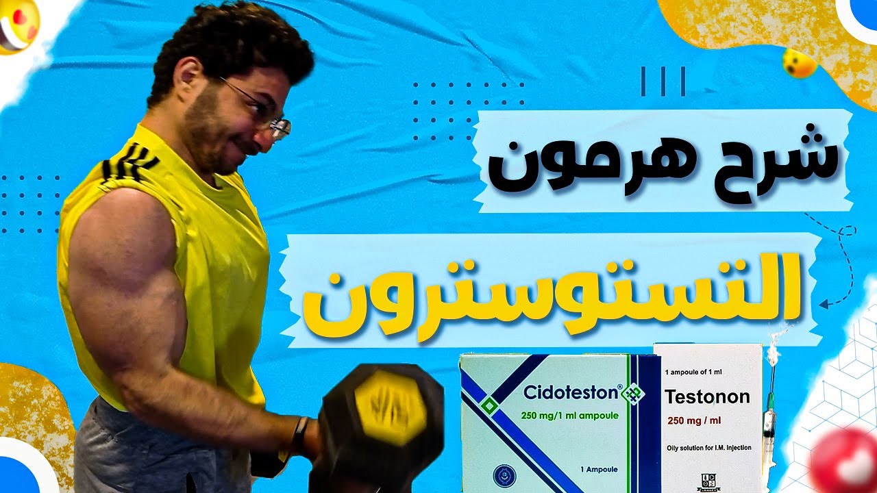 هرمون التستوستيرون وقود الرجال والعضلات (هرمون المبتدئين والمحترفين)
