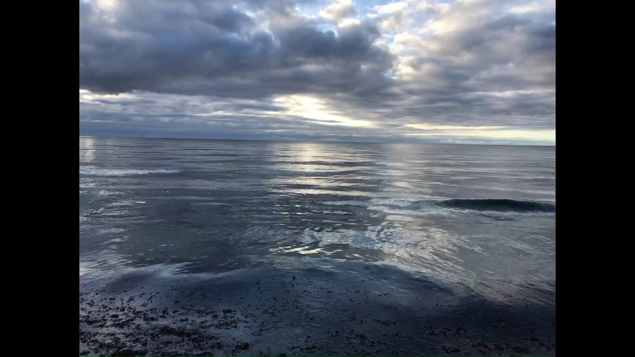 Tofta badstrand - Gotland - November 8 - 2020