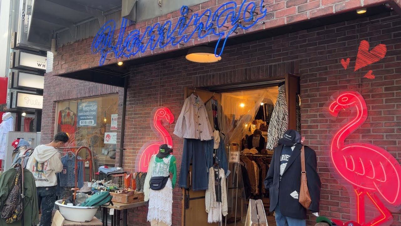 【サモエドあり】休日の原宿で古着屋としなこ探しVlog【しなこあり】