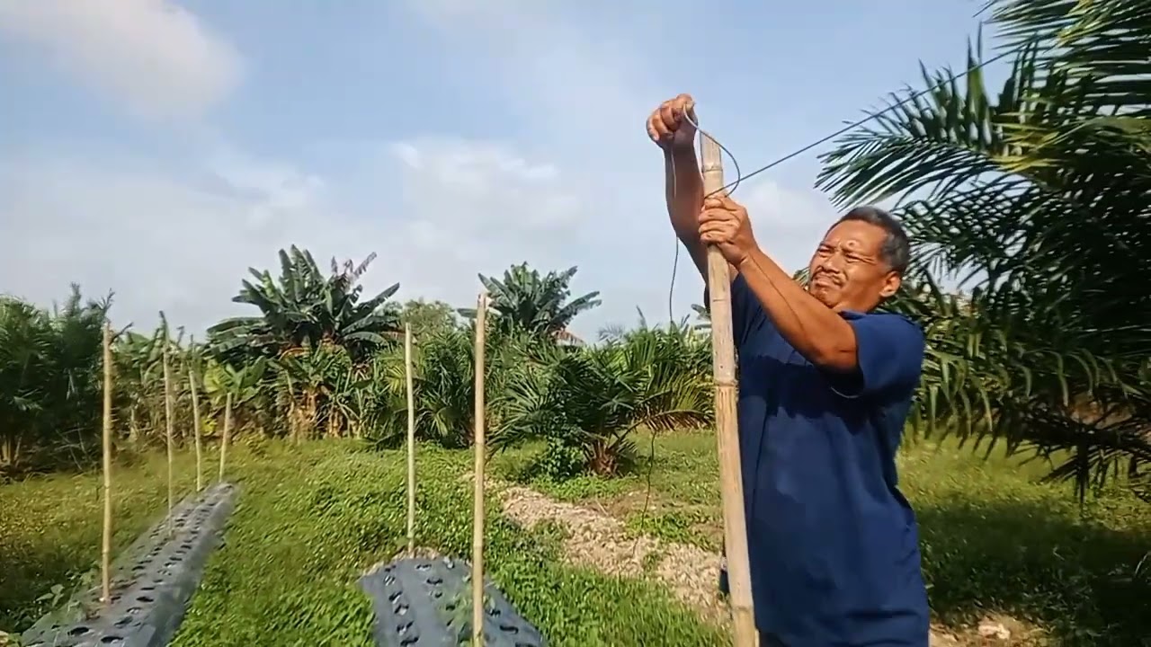 Sesibuk apapun harus kita luangkan waktu bantu anak ‼️