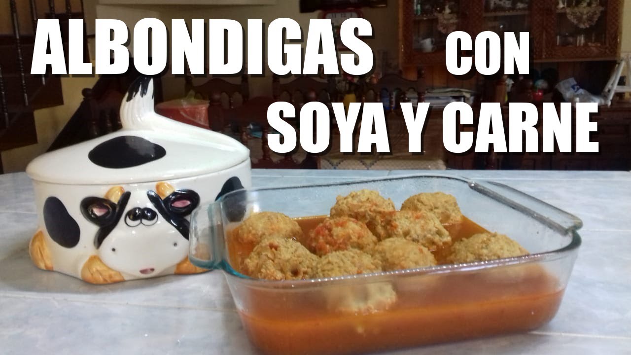 Albóndigas con soya y carne