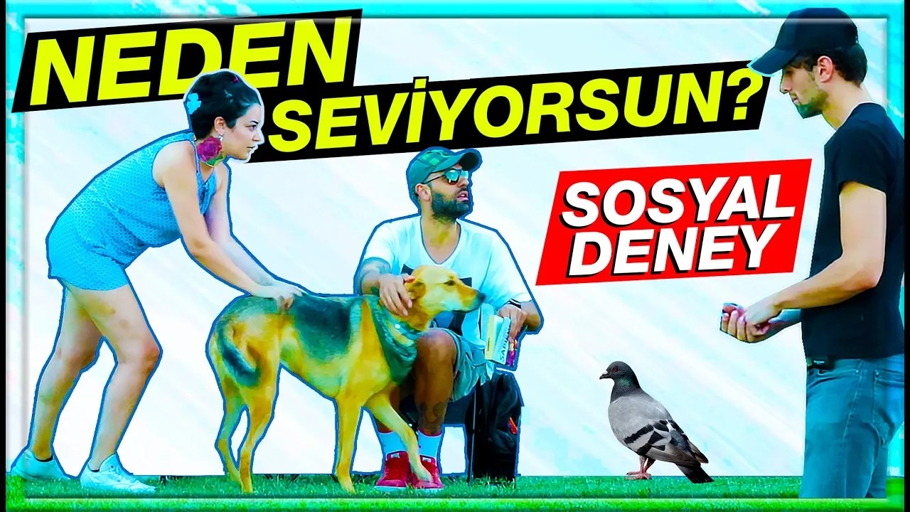 BU HAYVANI NEDEN SEVİYORSUN? SAT GİTSİN! / SOSYAL DENEY