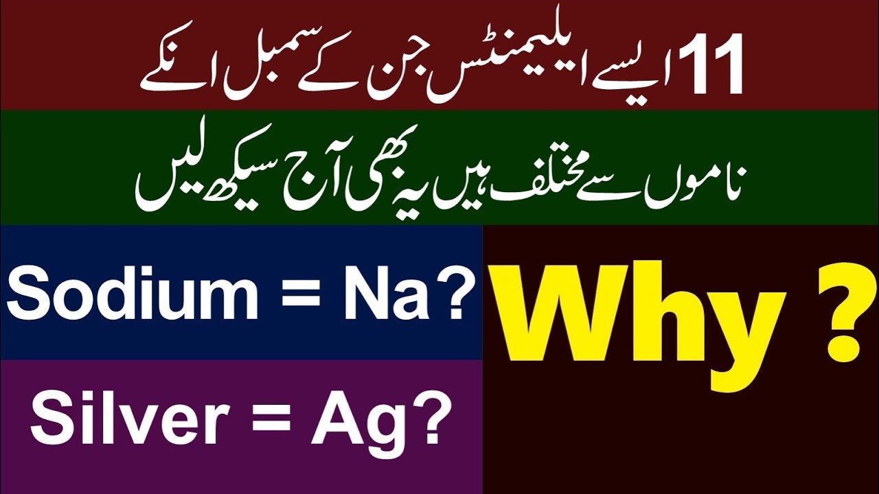 11 elements having different names and symbols